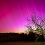 e / Aurora Borealis and Dead Tree par Loastro